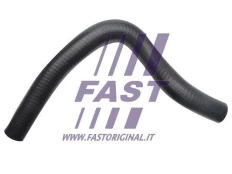 Aušinimo skysčio vamzdis FAST FT61656 kaina