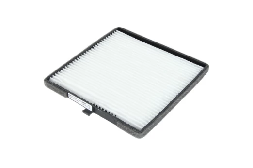 Salono filtras DENSO DCF284P