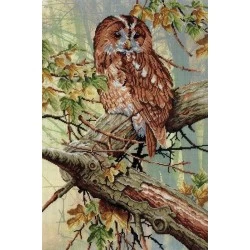 In Forest Lace SRK-498 - Siuvinėjimo rinkinys
