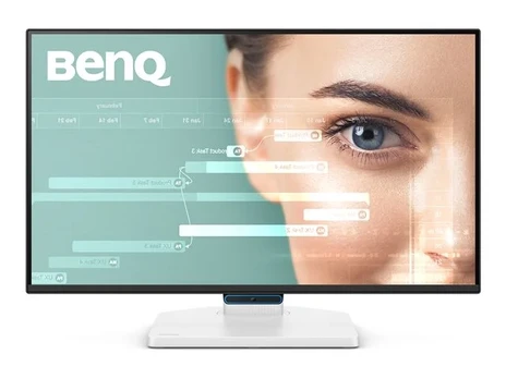 Monitorius BENQ GW2490TC