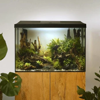 Aquael Leddy 60 XL (72L) Day&Night