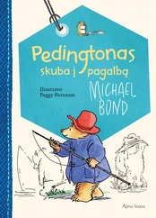 Pedingtonas skuba į pagalbą kaina