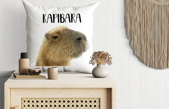 Puodelis + pagalvė Capybara atsukta į šoną dovanų rinkinys