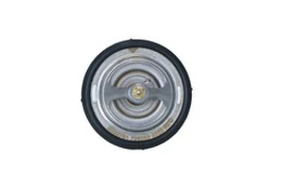Termostatas, aušinimo skystis NRF 725268 kaina