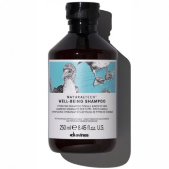 Davines Naturaltech Well Being šampūnas 250ml