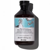 Davines Naturaltech Well Being šampūnas 250ml kaina