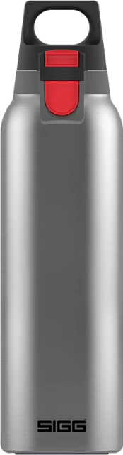 SIGG - H&C ONE - Brushed (0,55 L) (8998.20) kaina