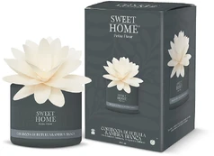 Sweet Home Collection - Aroma diffuser Birch Bark & White Amber 200 ml kaina