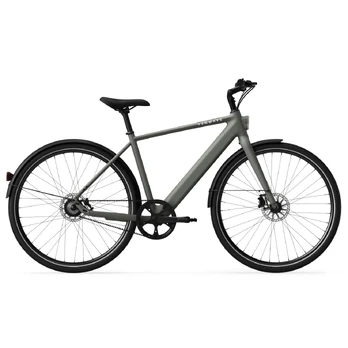 Electric bicycle TENWAYS CGO600 Pro, Willow Mist (L)