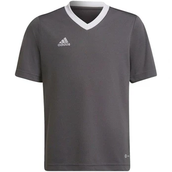 Adidas marškinėliai