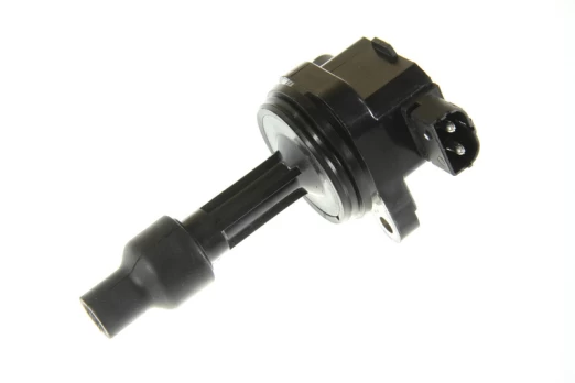 Ritė, uždegimas NGK 48171
