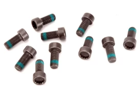 LUK 411 0133 12 Flywheel bolt set kaina