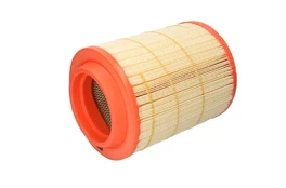 Oro filtras FILTRON AM455/2 kaina