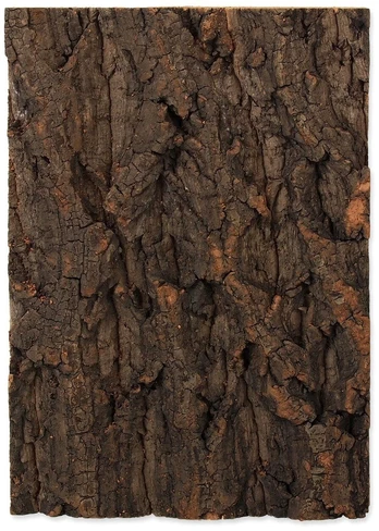 Dekoracija terariumui Repti Planet Background cork natural
