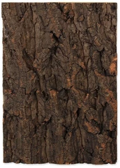 Dekoracija terariumui Repti Planet Background cork natural kaina