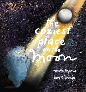 Coziest Place on the Moon