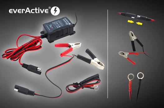 Automatinis akumuliatorių kroviklis everActive universalus automatinis 6/12V 1000mA