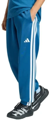 Vyriškos adidas Stadium kelnės, mėlynos JZ9449