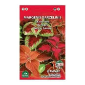 MARGENIS DAUGIAMETIS kaina