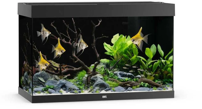 Rio 290 LED akvariumas, 290 l juodas