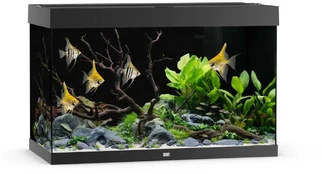 Rio 290 LED akvariumas, 290 l juodas kaina