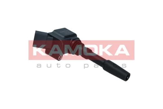 Ritė, uždegimas KAMOKA 7120152