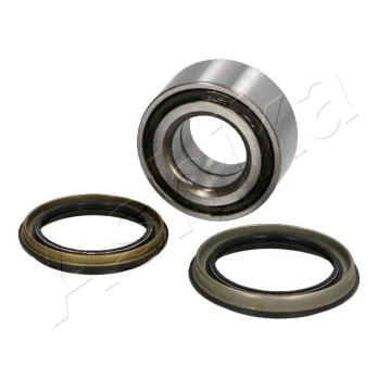 Rato guolio komplektas ASHIKA 44-12035