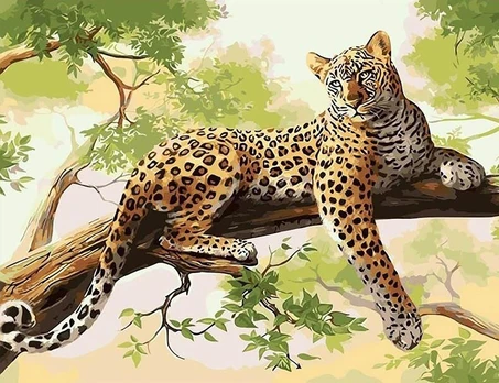 Tapybos pagal skaičius rinkinys: Leopard 40x50 cm T122