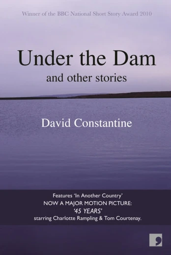 Under the Dam