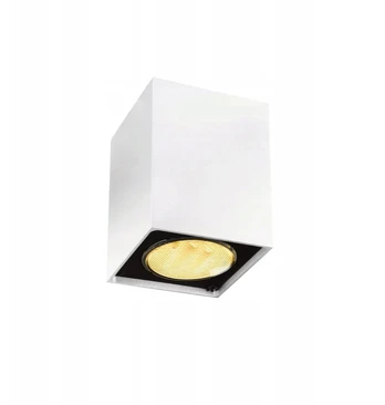 Aldex Kvadratinis spotas Holdbox Vasto Ceiling Gu10 baltas