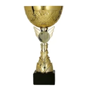 Taurė 9304C aukštis 18cm skermuo 8cm