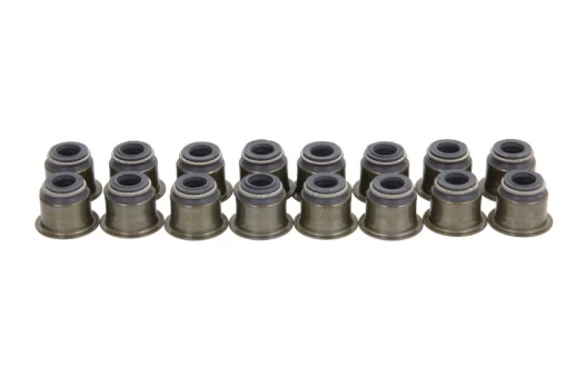 REINZ 12-53449-01 Valve stem seal set
