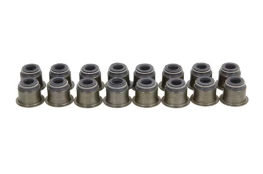 REINZ 12-53449-01 Valve stem seal set kaina