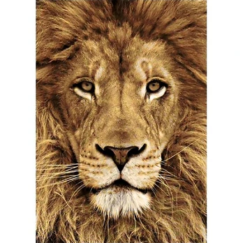 Deimantinis paveikslas Lion WD068 20*30 cm