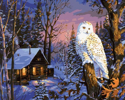Tapybos rinkinys "Winter house"