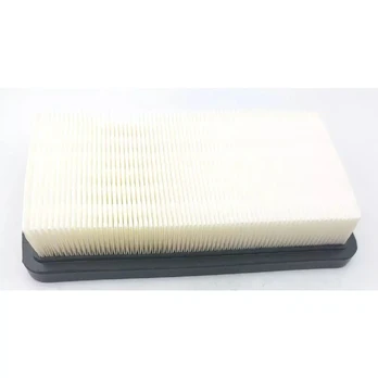 HEPA filtras, skirtas DED7075, DED7174