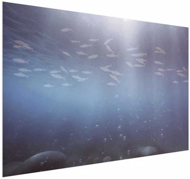 Artgeist Plakatas - Fish in the Depths
