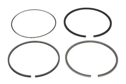 NE 120035005700 Piston ring set kaina