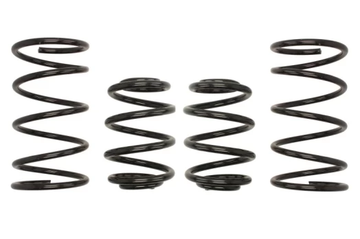 Žeminanti spyruoklė (30-40/30 mm) Pro-Kit (4 vnt.) E2019-140
