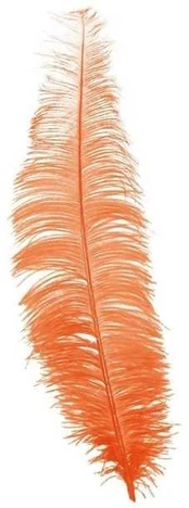 Fiesta Oranžinis strudsefjer 40 cm, 12 stk