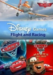 Flight and Racing Steam kaina