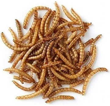 PRODAC Mealworms džiovinti milčiai 250ml