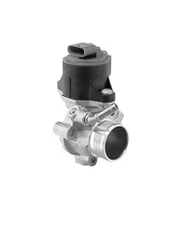 ERG vožtuvas BorgWarner (Wahler) 710525D