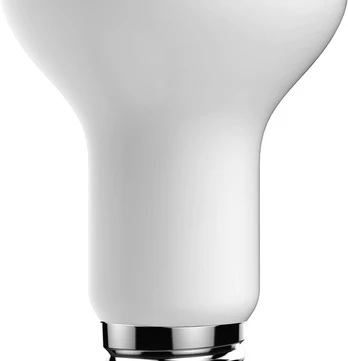 LED lemputė LUXRAM 1092602, reflektorinė, 7W, 600 lm, 3000 K, E27, 220 V