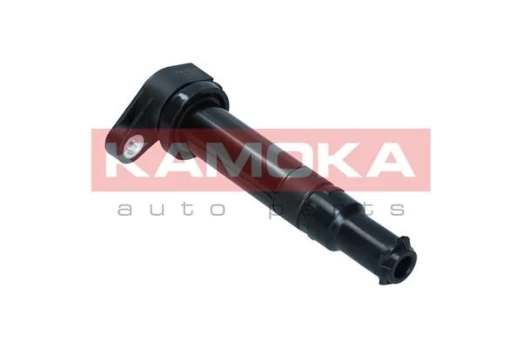 Ritė, uždegimas KAMOKA 7120076