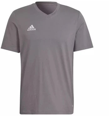 adidas Entrada 22 marškinėliai vyrams M HC0449