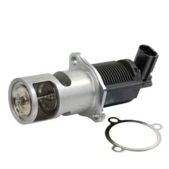ERG vožtuvas MAGNETI MARELLI 571822112009