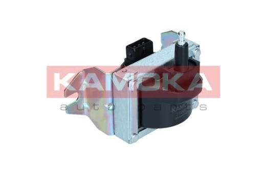 Ritė, uždegimas KAMOKA 7120048