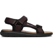 Basutės Nautica CEO-RINO-01 MBS Ruda