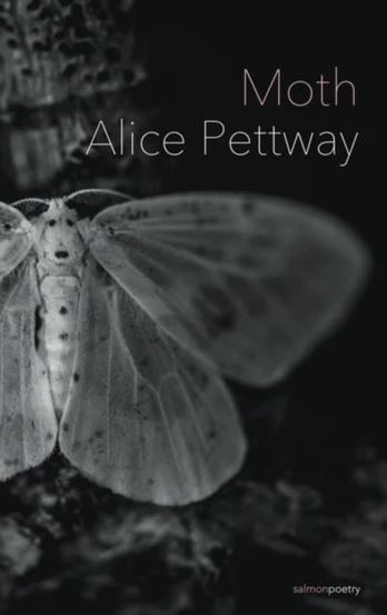 Moth